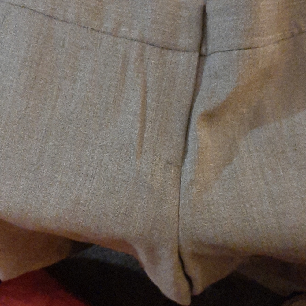 Dress pants